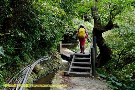 東昇水起|東昇步道(十八份圳步道)